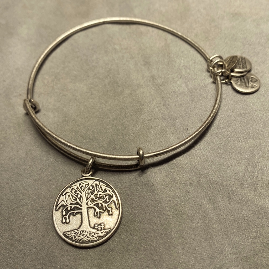 Alex And Ani Silver Tree Of Life Bangle 12$